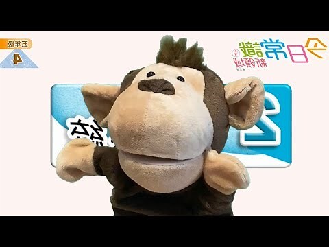 泌尿系統 常識